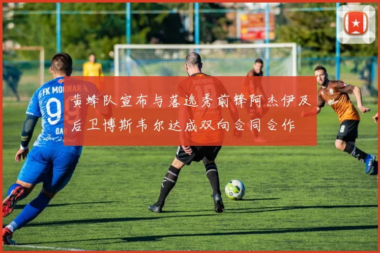 黄蜂队宣布与落选秀前锋阿杰伊及后卫博斯韦尔达成双向合同合作